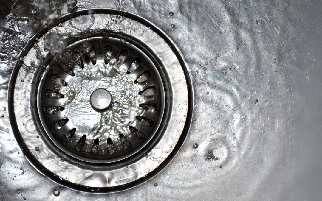 Don’t Flush That! A Guide to Protecting Your Plumbing and Drains