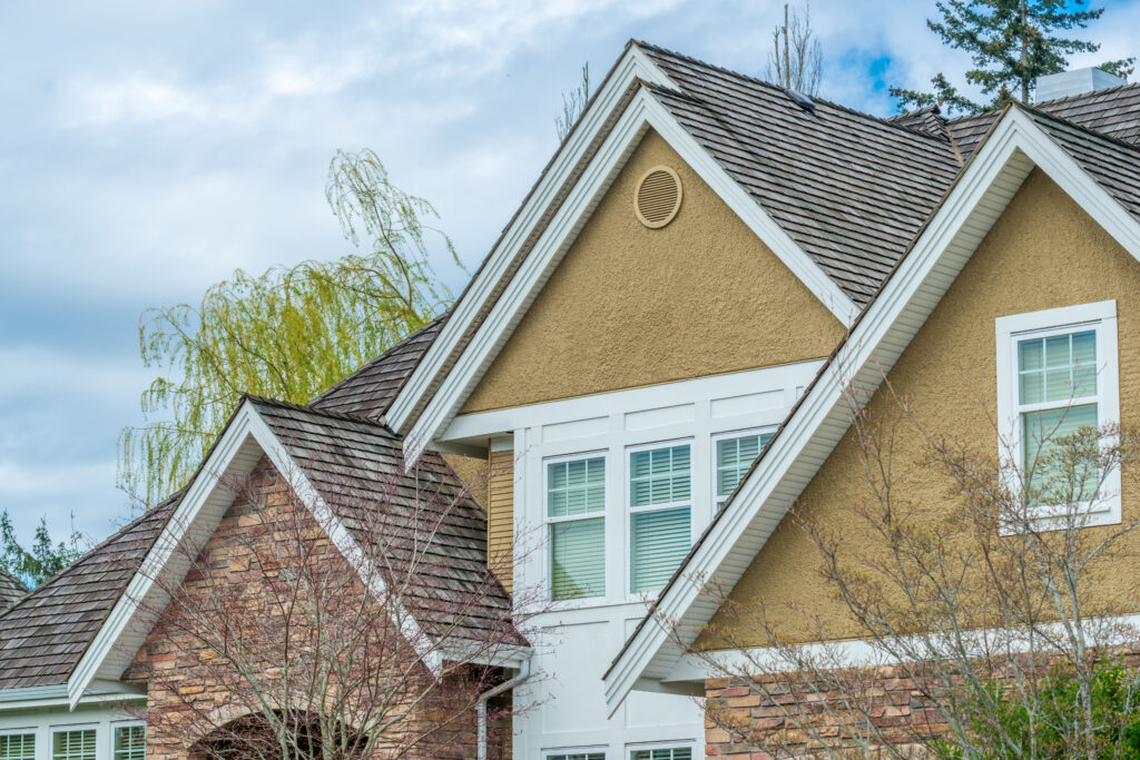house with mold